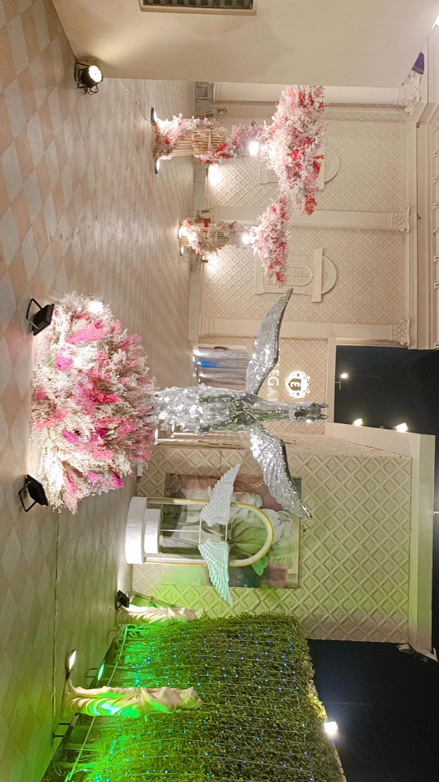 Gallery Image 14